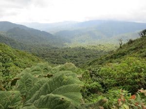 Costa Rica vs. Panama: Which Should You Retire In?
