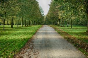 10 Best Places to Retire in Central California